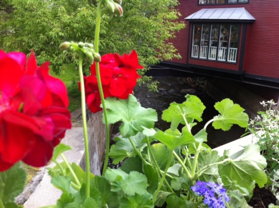 post office geranium